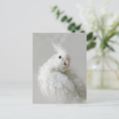 コッカティエ,鳥,かわいらし,ペット,愛らしい,かわいい,コロ ポストカード (スタンド正面)