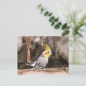 コッカティ絵画ー鳥 ポストカード (スタンド正面)