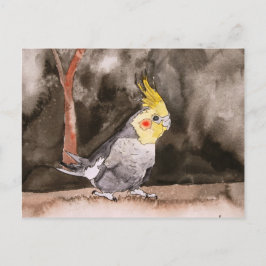 コッカティ絵画ー鳥 ポストカード