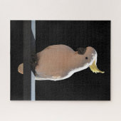 コッカトゥーアットサンディアルアパートメンツジグソーパズル ジグソーパズル (横)