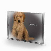 コッカプー犬 フォトブロック (右)