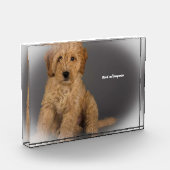 コッカプー犬 フォトブロック (左)