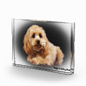 コッカプー犬. フォトブロック (右)
