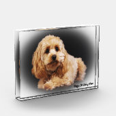 コッカプー犬. フォトブロック (左)