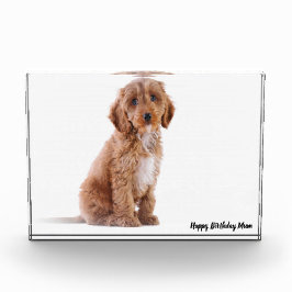 コッカプー犬 フォトブロック