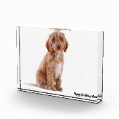 コッカプー犬 フォトブロック (右)