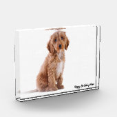 コッカプー犬 フォトブロック (左)