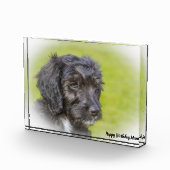 コッカプー犬. フォトブロック (右)