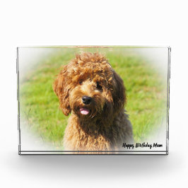 コッカプー犬. フォトブロック