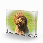 コッカプー犬. フォトブロック (右)