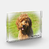 コッカプー犬. フォトブロック (左)