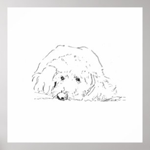 コッカプー 子犬 ポスター、犬好きへのギフトアイデア ポスター