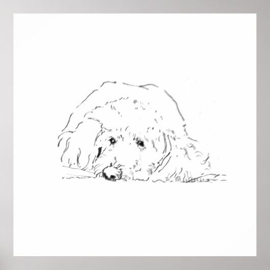 コッカプー 子犬 ポスター、犬好きへのギフトアイデア ポスター (正面)