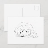 コッカプー 子犬、犬好きへのギフトアイデア ポストカード (正面/裏面)