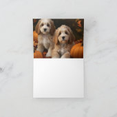 コッカプー 子犬 秋の喜び パンプキン カード (内部)