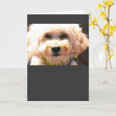 コッカポ カード (黄色い花)