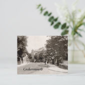 コッカマス・ステーション通り ポストカード (スタンド正面)