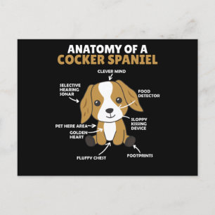 コッカーの解剖学かわいい犬の子犬のスパニエル犬 ポストカード