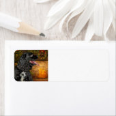 コッカークリスマス差出人住所ラベル ラベル (インサイチュ)