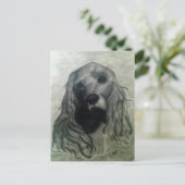 コッカースケッチクレア ポストカード (スタンド正面)