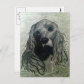 コッカースケッチクレア ポストカード (正面/裏面)