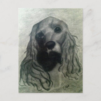 コッカースケッチクレア ポストカード