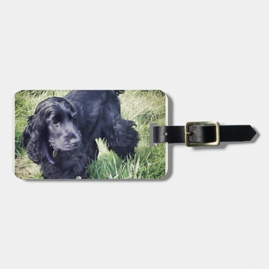 コッカースパニエルの子犬 ラゲッジタグ (正面横)