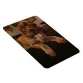 コッカースパニエルの磁石 マグネット (右側)