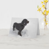 コッカースパニエルカード カード (黄色い花)