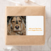 コッカースパニエル犬すし ラベル (インサイチュ)