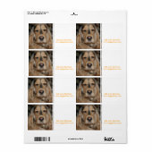 コッカースパニエル犬すし ラベル (フルシート)