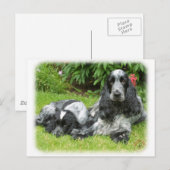 コッカースパニエル犬と子犬9W017D-067 ポストカード (正面/裏面)