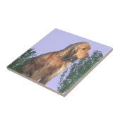 コッカースパニエル犬の恋人 タイル (側面)