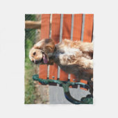 コッカースパニエル犬の投球のフリースブランケット フリースブランケット (正面)