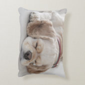 コッカースパニエル犬の睡眠 アクセントクッション (裏面(縦))