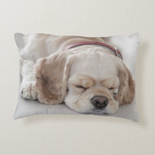 コッカースパニエル犬の睡眠 アクセントクッション (裏面)