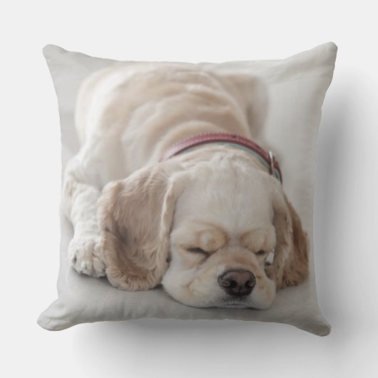 コッカースパニエル犬の睡眠 クッション (正面)