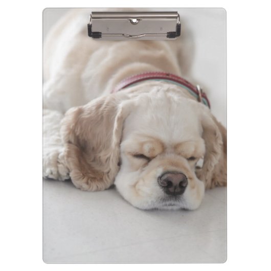 コッカースパニエル犬の睡眠 クリップボード (正面)