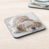 コッカースパニエル犬の睡眠 コースター (左側)