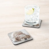 コッカースパニエル犬の睡眠 コースター (右側)