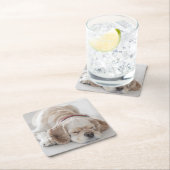 コッカースパニエル犬の睡眠 スクエアペーパーコースター (インサイチュ)