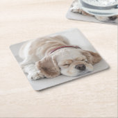 コッカースパニエル犬の睡眠 スクエアペーパーコースター (アングル)