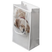 コッカースパニエル犬の睡眠 スモールペーパーバッグ (裏面アングル)