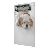 コッカースパニエル犬の睡眠 ミニクリップボード (アングル2)