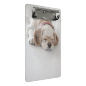 コッカースパニエル犬の睡眠 ミニクリップボード (アングル)
