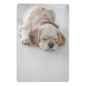コッカースパニエル犬の睡眠 ミニクリップボード (裏面)