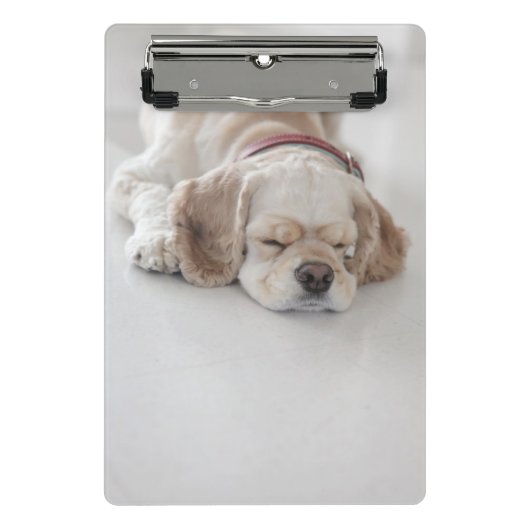 コッカースパニエル犬の睡眠 ミニクリップボード (正面)