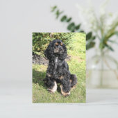 コッカースパニエル犬カラースケッチ ポストカード (スタンド正面)