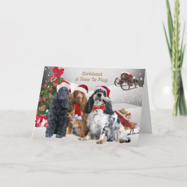 コッカースパニエル犬クリスマス遊A時間 シーズンカード