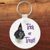 コッカースパニエル犬トリック キーホルダー (正面)